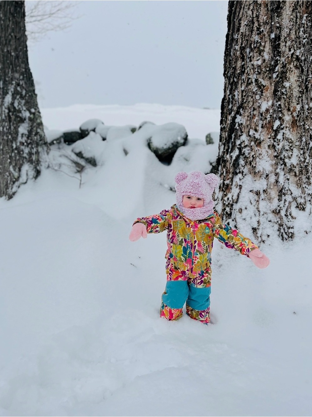 Patagonia Girls Snowsuit